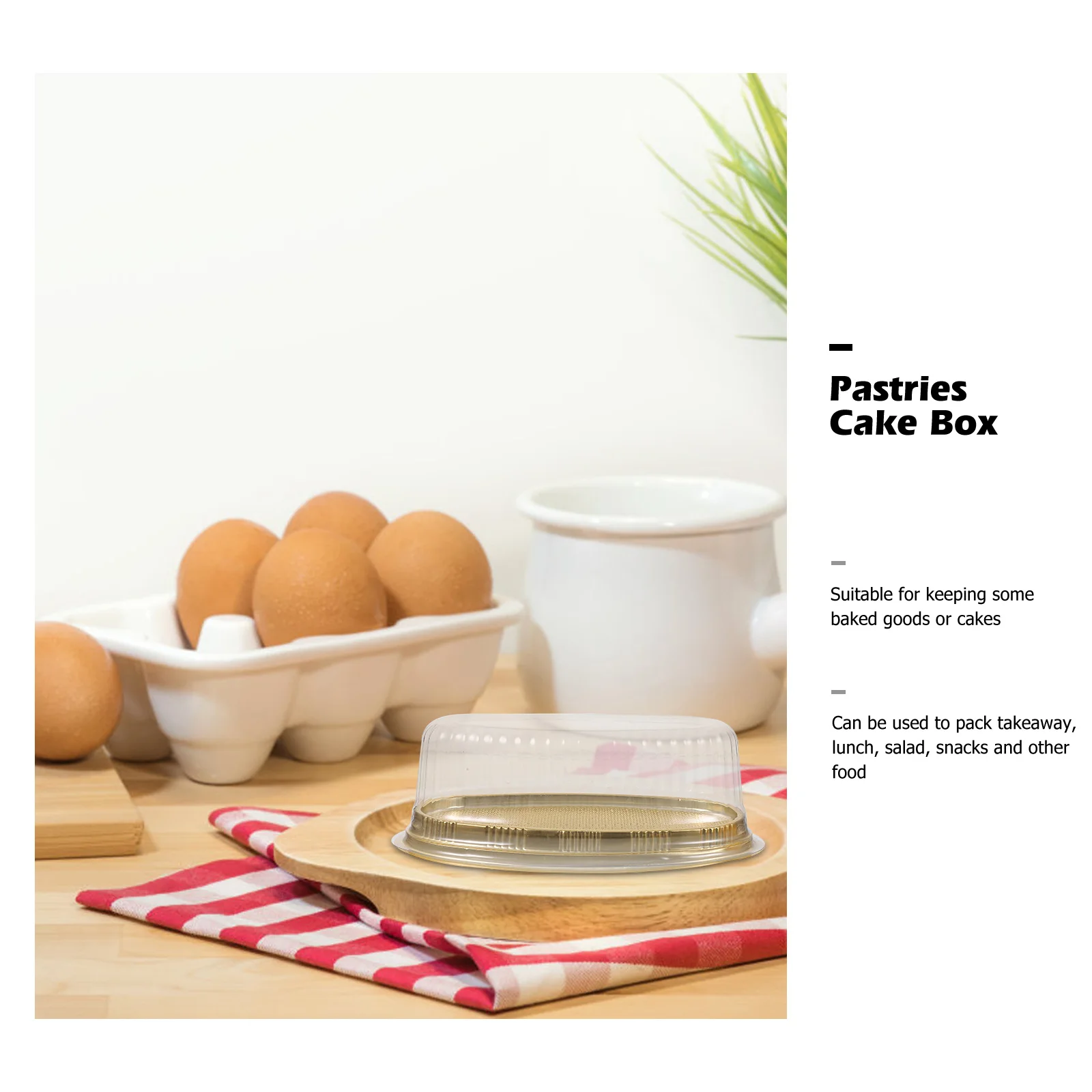 

10 Pcs Cake Tins with Lids Box Carriers for Transport Container Containers Plastic Reusable