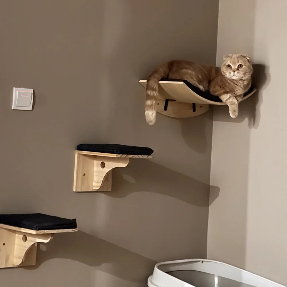 Muebles de pared para gatos – Rascador, hamaca y estantes de escalada - imagen 4