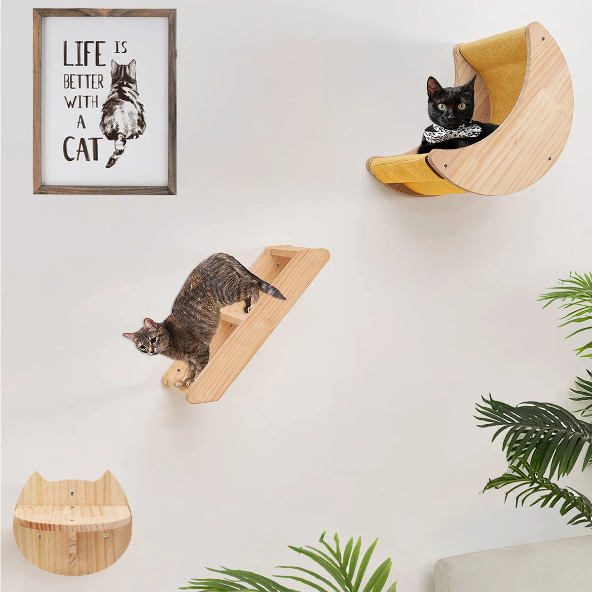 #10 Cat Beds Comparison Guide