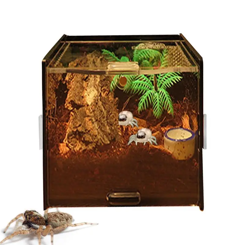 Terrarium For Reptile Snail Arcylic Breeding Box Wolf Spider Jumping Spider Snail Scorpion Durable Invertebrate Breeding Box