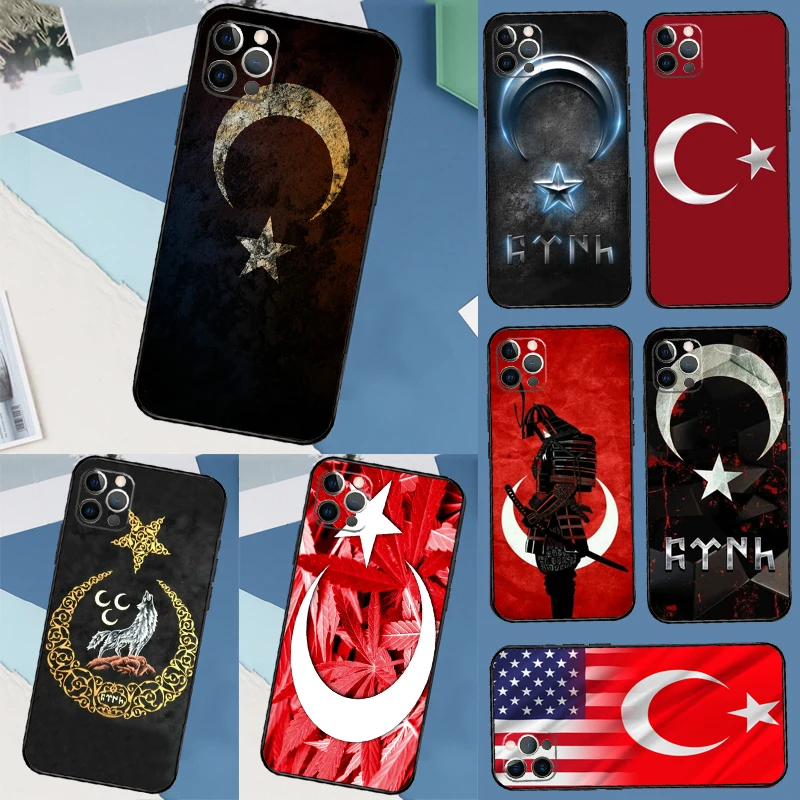 Republic Turkey Fla… - image