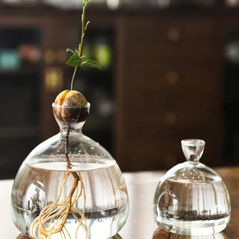 Thumbnail 2 - #68 Compare Vases Before You Buy