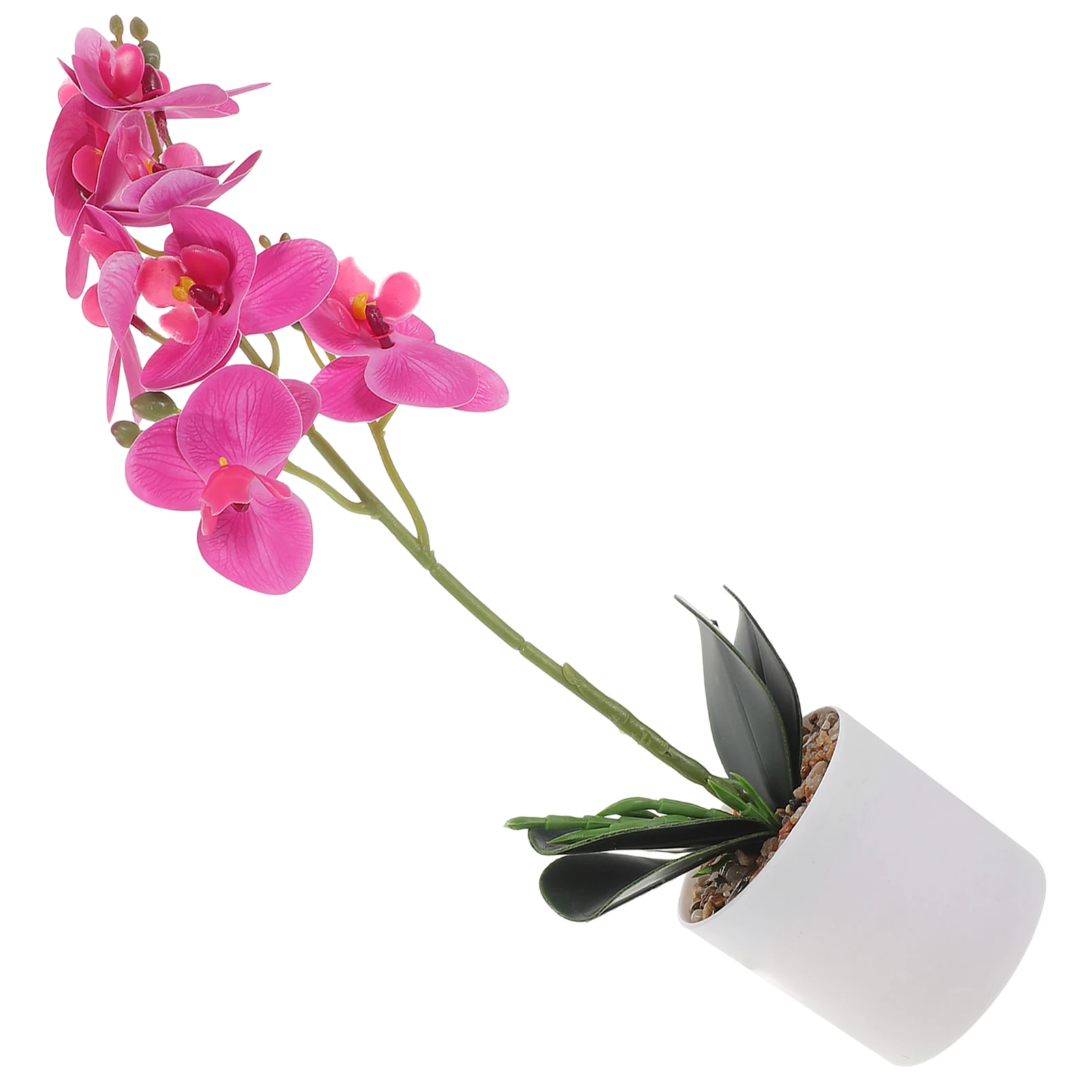 

Simulated Phalaenopsis Potted Plant Indoor Plants Artificial Flowers Arrangement Decoration Orchid Bonsai Pp Ornament Home