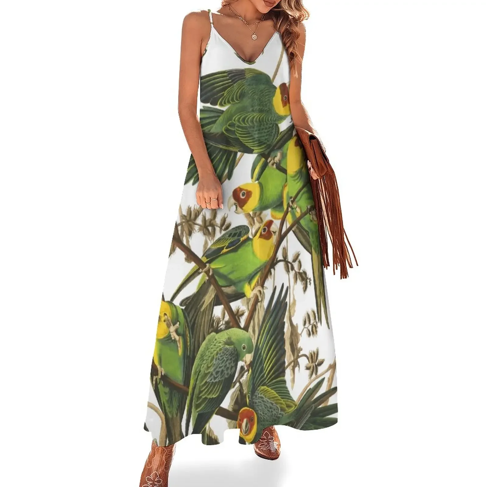 Carolina Parakeet - John James Audubon Sleeveless Dress dress Woman dresses Bride dresses