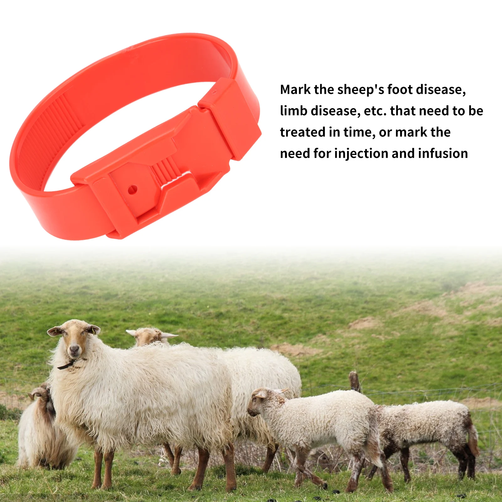 10Pcs Goat Leg Ring Sheep Identification Bands Livestock Marking Ring Farming Equipment 36cm