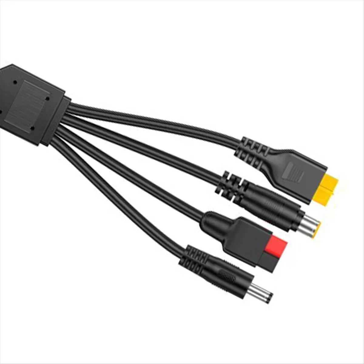 Persevering- 4-In-1…