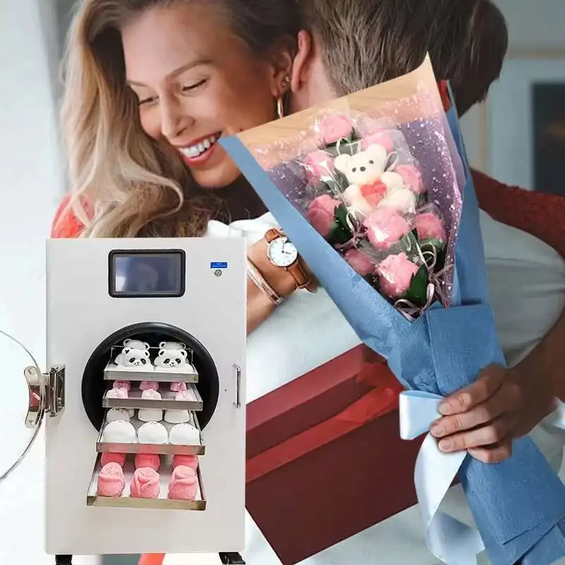 

Industrial 4kg 6kg Dry Machine Vacuum Liofilizador Freeze Dryer Price List Egg