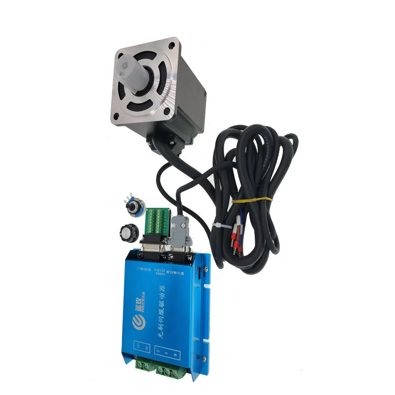 Bldc Brushless Servo Set 48V 1KW 300RPM Dc Motor with CAN RS 232 Controller