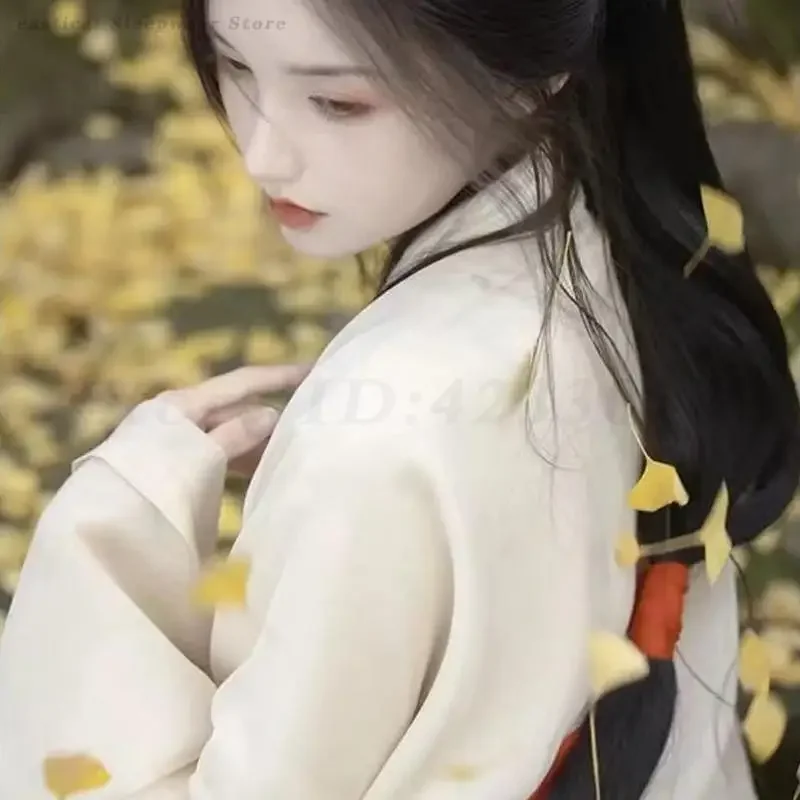 الجنية الصينية Hanfu المرأة رشيقة خمر الملابس تأثيري حلي الأميرة الزي البدلة Weijin فستان شرقي تقليدي أبيض #6