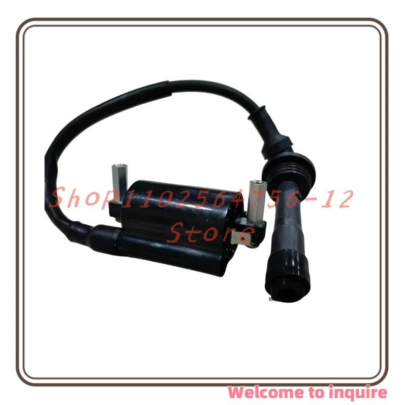 

Suitable for Qianjiangsai 250GS-29F Jinpeng 251 Little Yellow Dragon Young Lion 250 High-voltage Pack Ignition Coil with Hat