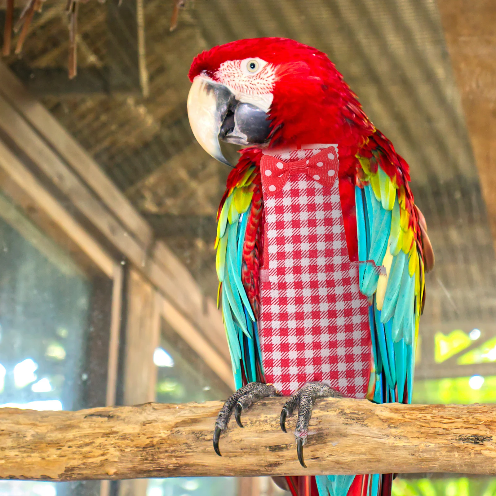 

Pet Bird Clothes M Size Red Grid Reusable Flight Suit Diaper for Parakeet Parrot Pigeon Small Birds Washable Costumes