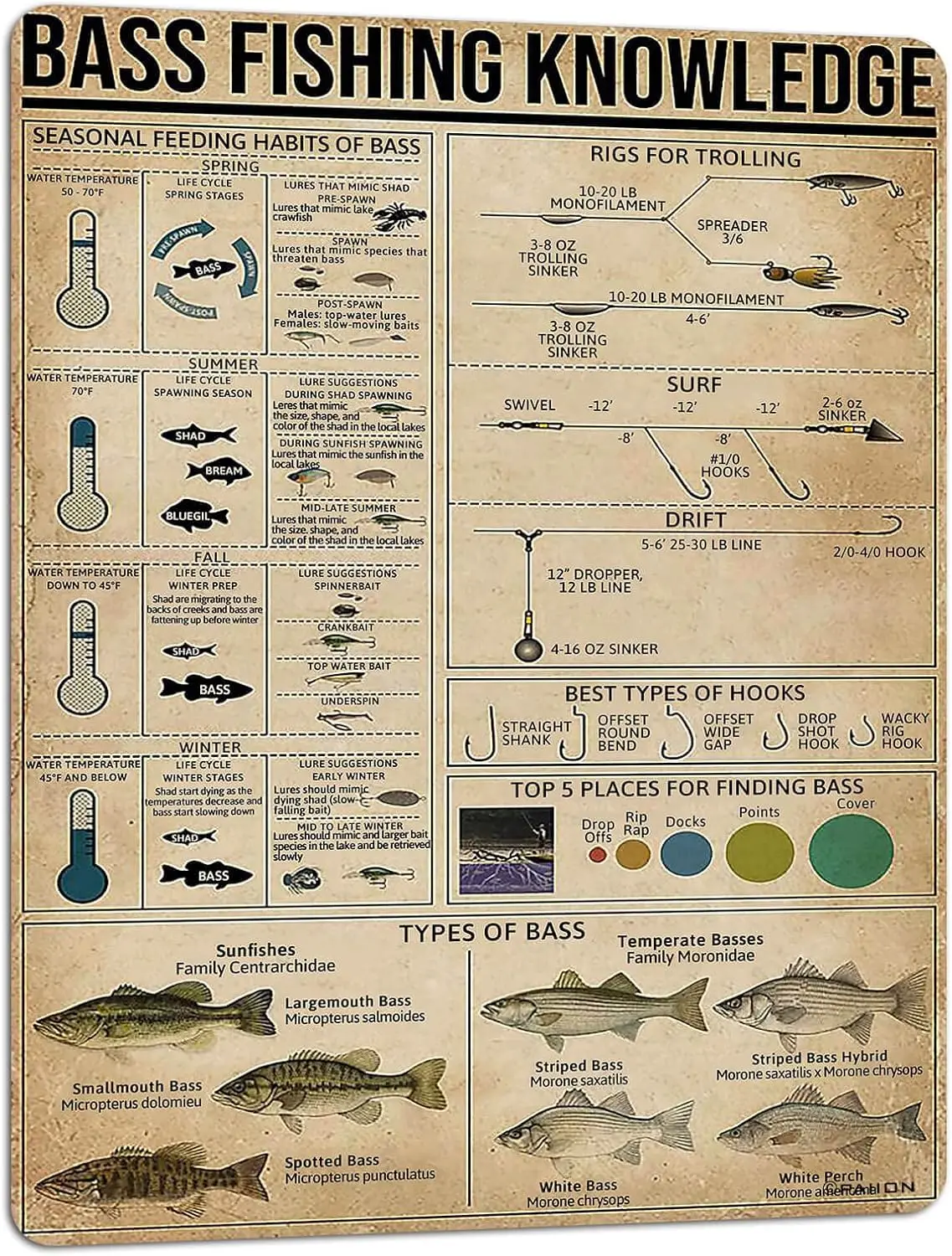 PAIION Metal Sign Bass Fishing Knowledge poster Bar Home Decoration New Year Gift for Parents, So That Children Can Gain Kn