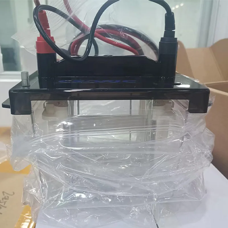 Hot Protein Transfer Electrophoresis System to Identify Separate Prepare Dna
