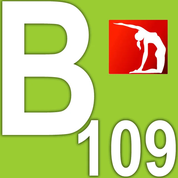 

Pre Sale Latest 2025.Q3 BB107 BB 108 Fitness Sports Tai Chi Yoga Pilates