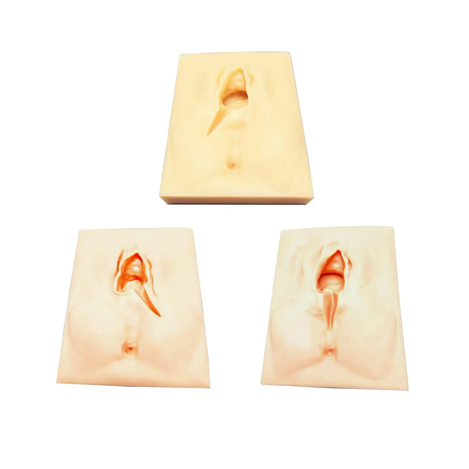 Vulva practice, perineum episiotomy simulator Female vulva incision for study