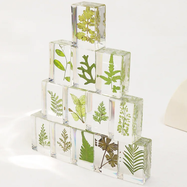 

6Pcs Handcrafted Epoxy Resin Plant Bookweight Fern Leaf Desk Decor Creative Cultural Souvenir Gift