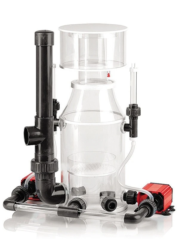 External Egg Sdp Sd…