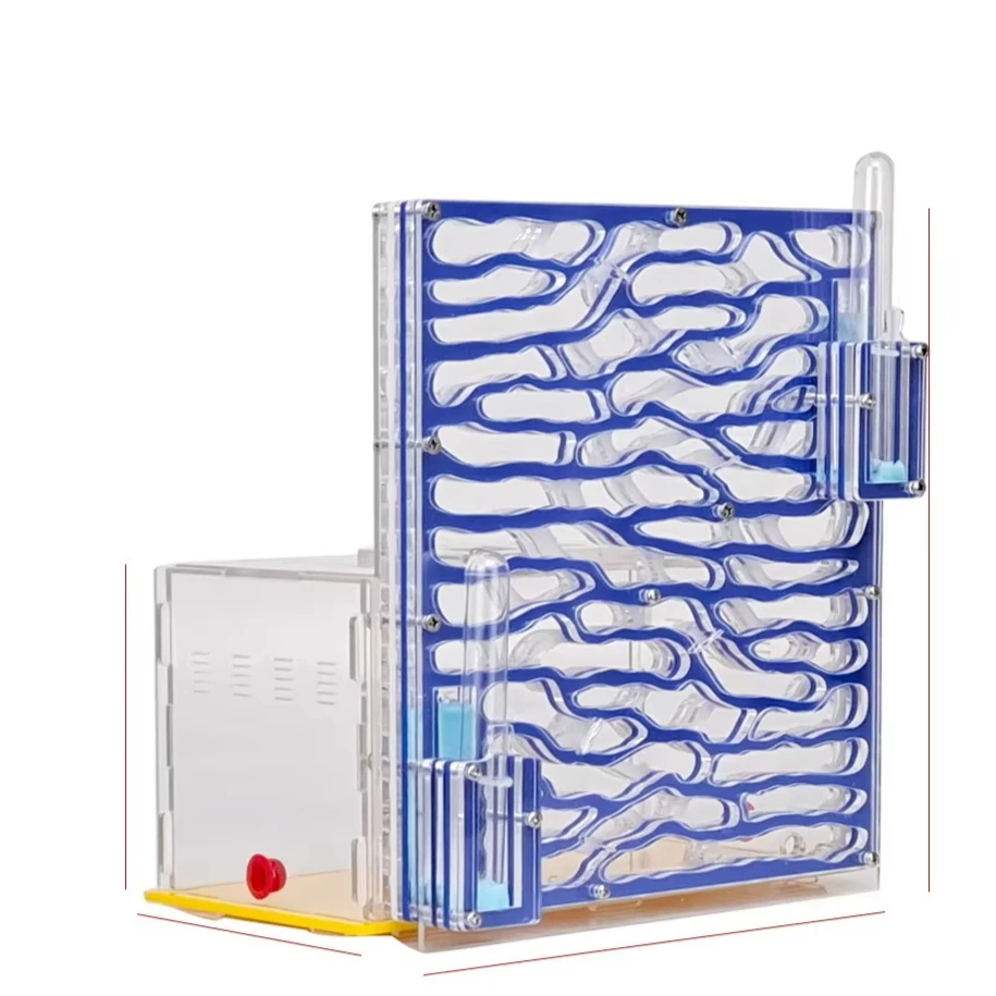 

Большое космическое муравьиное гнездо, формариум, ферма муравьев для любителей кожного муравья