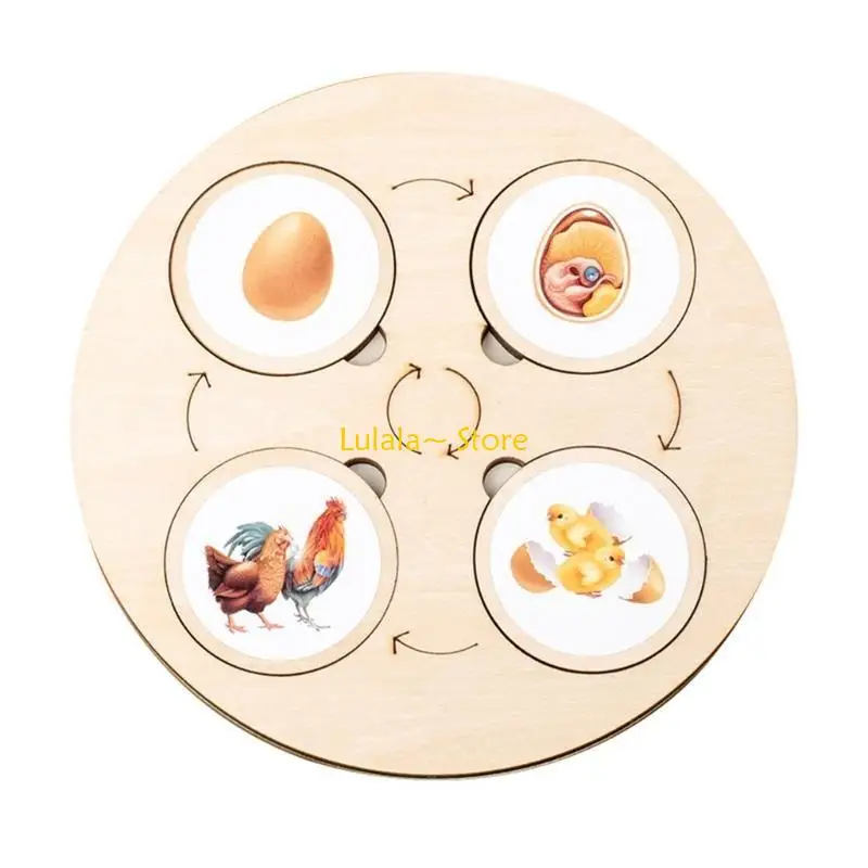 Y4QA Life Cycle Board for Baby Learning Biology  Toy DIY Stickers Puzzle Biology Science Education Toy For Kids