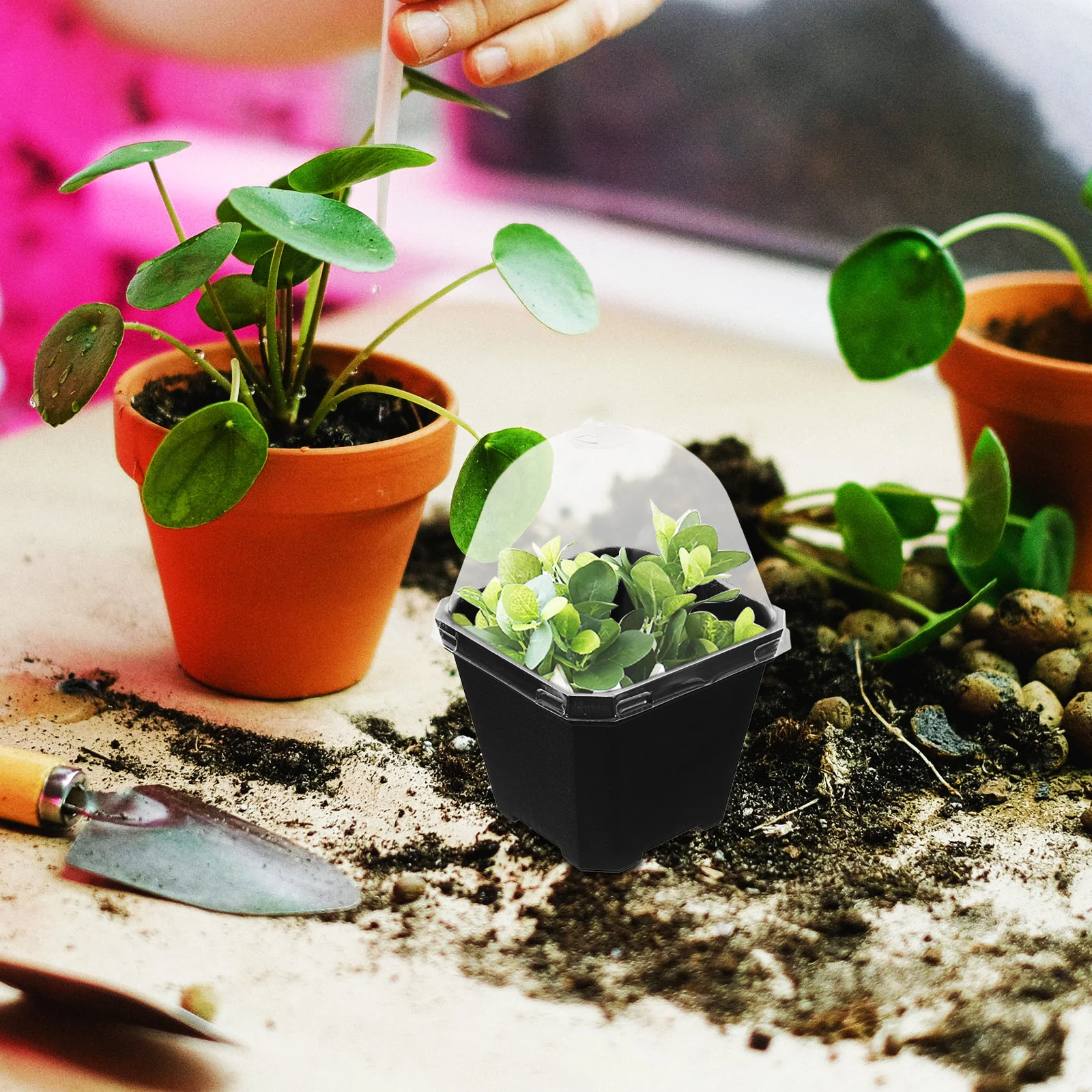 

3 set Large Thickened Humidity Dome With Adjustable Vent Corner Locks For Succulents Herbs Indoor Plant Nursery Pot Drainage