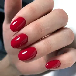 24 Uds. De uñas postizas cortas ovaladas de color rojo vino brillante, uñas postizas artificiales para diseño DIY, herramienta de manicura con puntas para los dedos