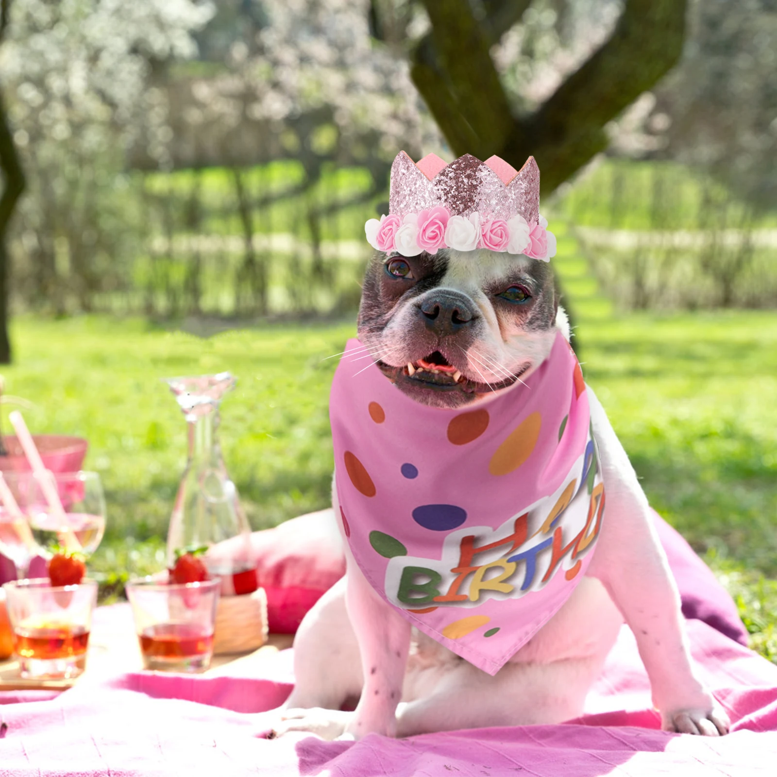 

1 set 1 Set Crown Dress Hat Set For Puppy Kitten Small Dogs Cats Pet Birthday Party Outfit Costume Adjustable Bandana Decor Dog