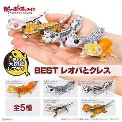 Bandai Original The Diverysity Of Life On Earth Giant Simulation Gecko Lizard Best Leopard Geckos Anime Action Figure Gift Toys