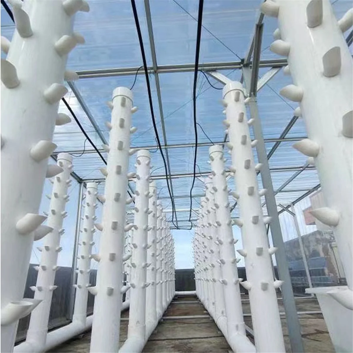 

2025+10 Sets Hydroponic Soil-Free Growing System DIY Hydroponic Nursery Garden Kit