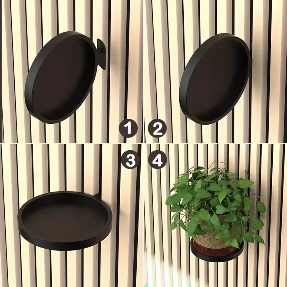 caring for an philodendron mamei Philodendron Mamei main image 1