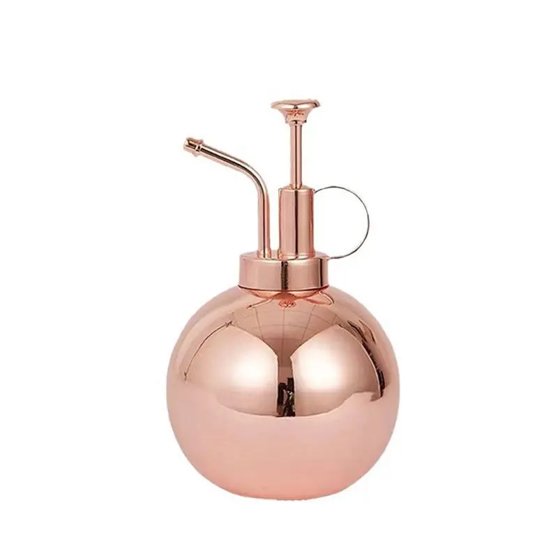 

【CHRISTMAS 】Stainless Steel Spray Bottle For Watering Plants 500Ml Spray Bottle Gardening Tools For Watering Indoor Plants Water