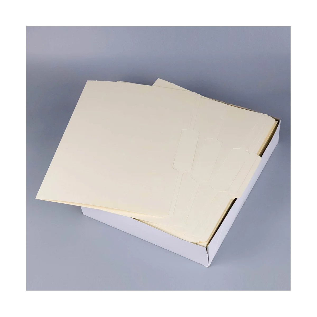 Hanging File Folders, Letter Size,1/5-Cut Adjustable Tabs, 100 Per Box