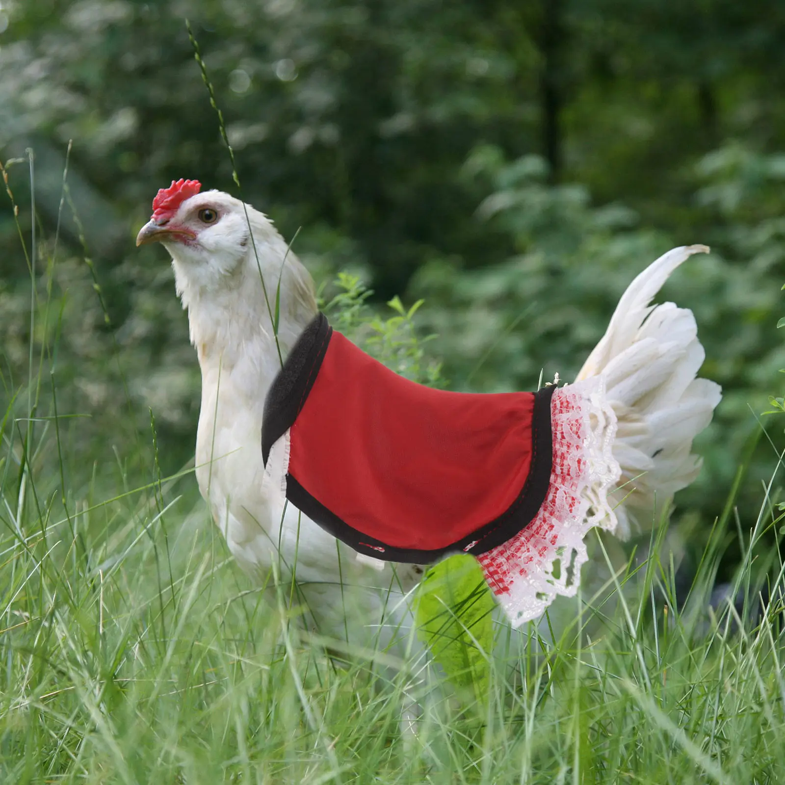 2Pcs Adjustable Chicken Saddles Hen Aprons Breathable Lightweight Anti Pecking Poultry Back Protector Chicken Farming Gear