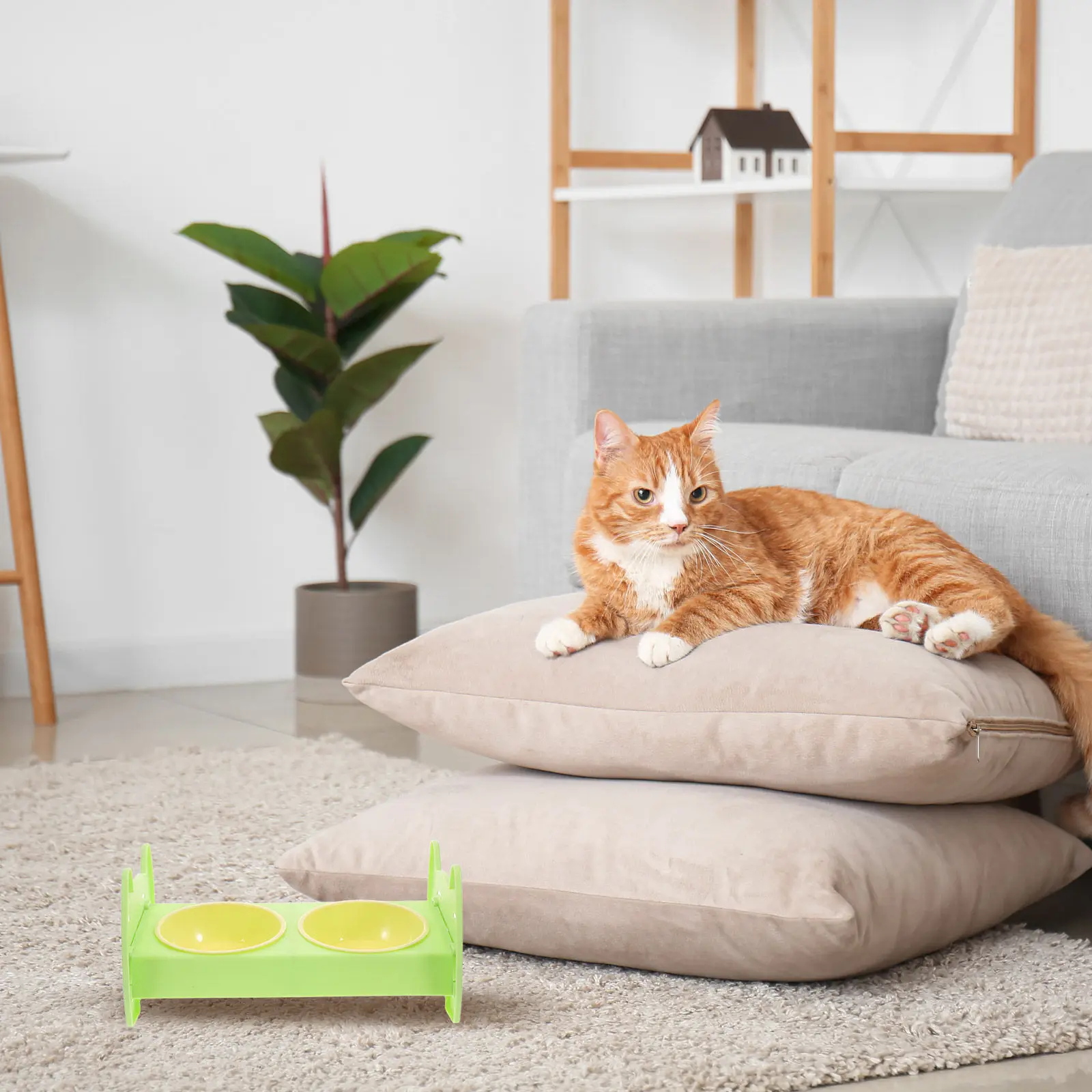 Premium Stainless Steel Pet Bowl for Cats and Dogs Multi-Functional Food Water Dish with Anti-Slip Bottom Small Dog Feeding Bowl