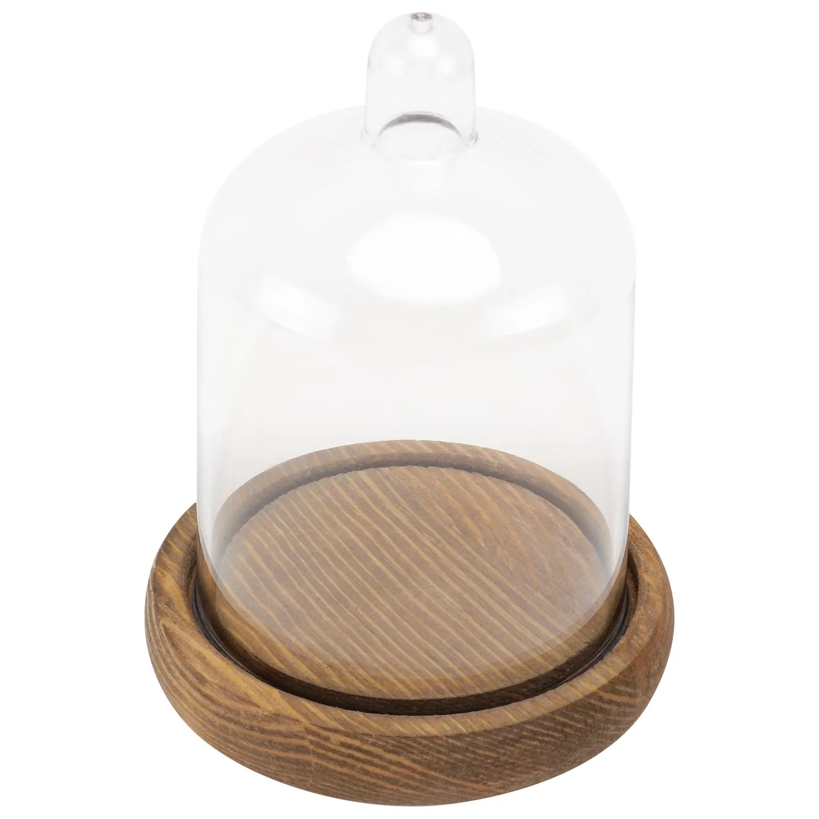

Clear Dome PC Bell Jar for Eternal Flowers Dustproof Display Stand Artificial Plants Ornament Cloche Home Decor Gift