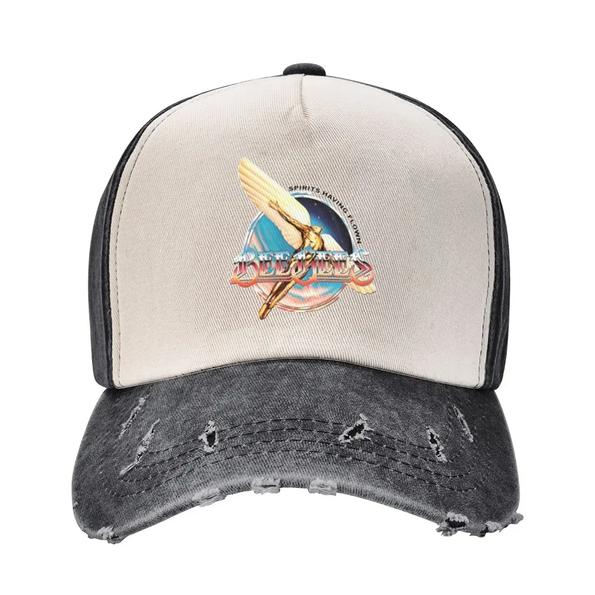 Having Wings Baseball Cap Big Size Hat Sunhat Luxury Man Hat Women's Beach Men's