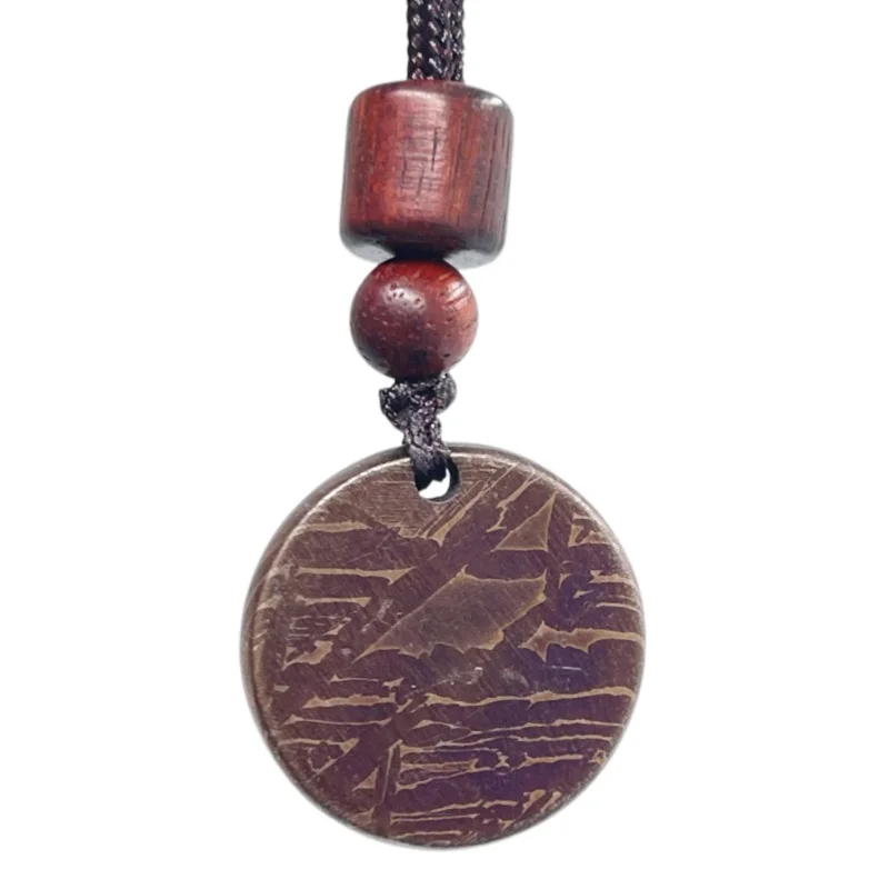 Muonionalusta Meteorite Specimen Necklace Hand Processed Round Iron Meteorite Slice Pendant Space Rock Collection Gift LK631