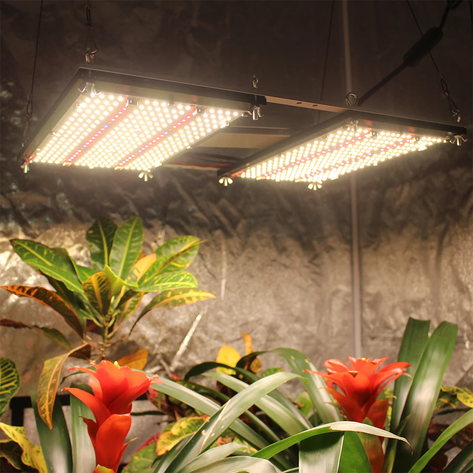 2024Full Spectrum Samsung LM301H Dimmable 240W LED Grow Light