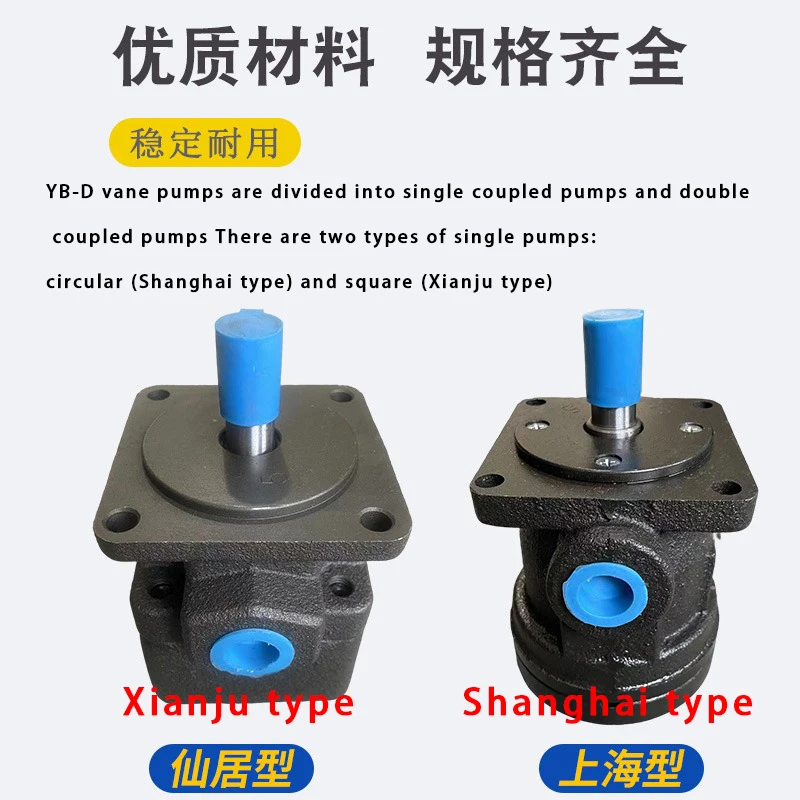 YB-D6.3 Pompa a palette D4 D2.5D10 D12 D16 D20 D25 D32 D40 YBD50 63 80 100