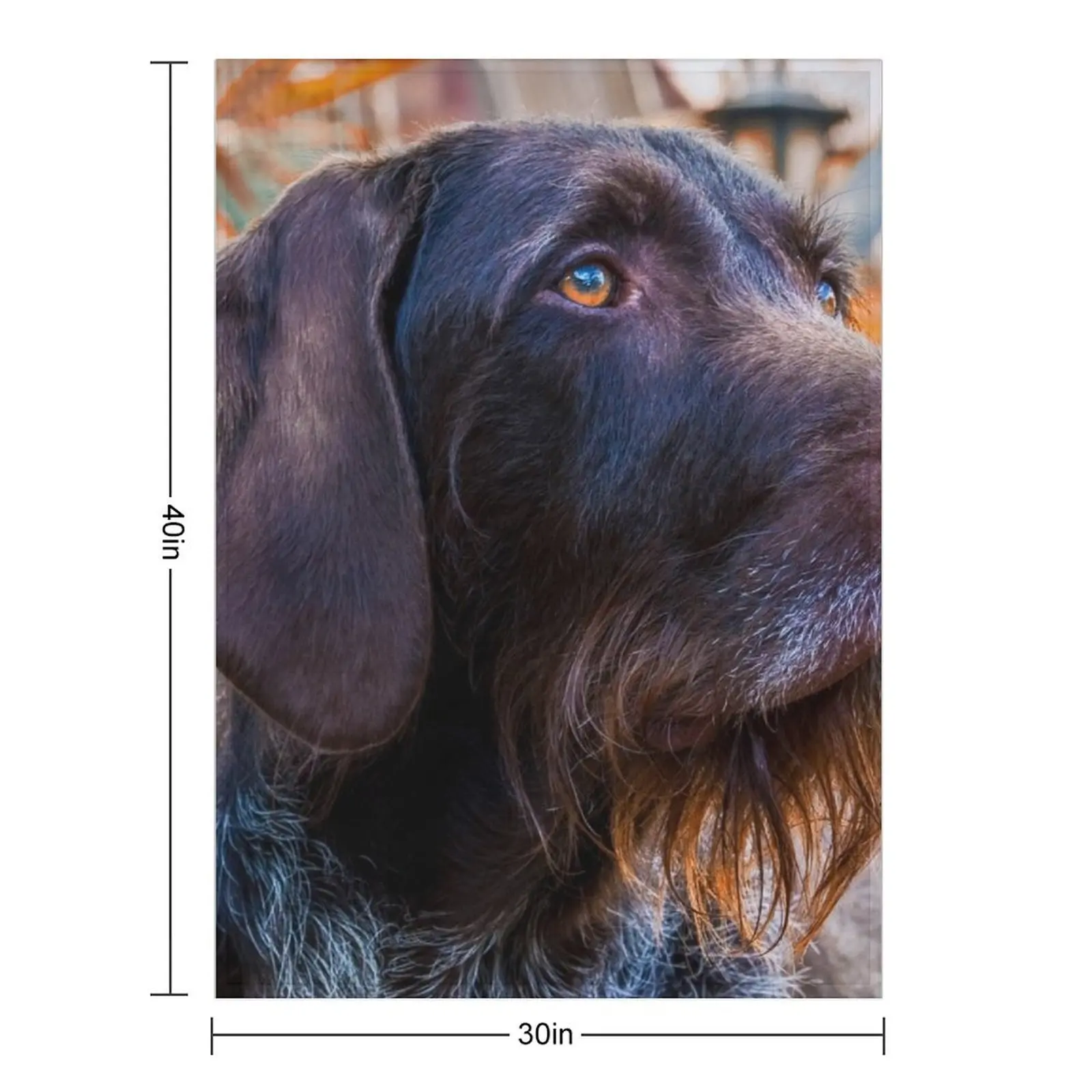 German Wirehaired Pointer Portrait Throw Blanket Nap Kid'S bed plaid Vintage Cute Plaid Blankets For Sofas Blankets