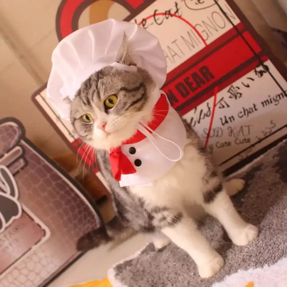 Pet Cooking King Hat Chef Hat Set Cat Dog Transformation Dress Cute Photo Decoration Hat Dog Costume Dog Hat Pet Accessories