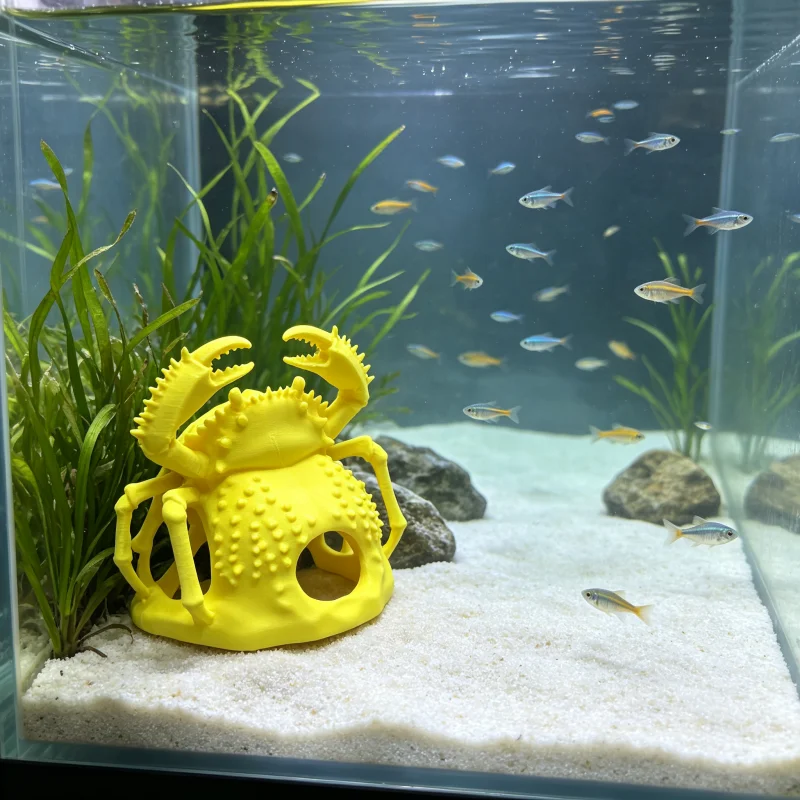 Aquarium Fish Yellow - حوض الروبيان، حوض أسماك البيتا، زينة