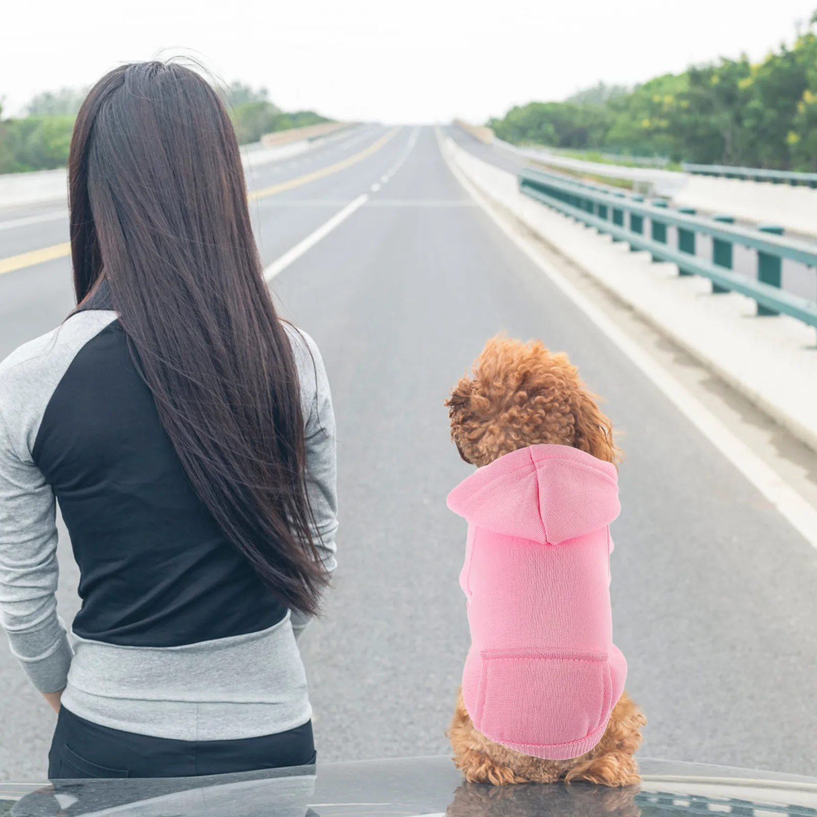 

Hoodie Sweatshirt Cartoon Coat Hat Pocket Winter Soft Puppy Fashion Warmth Pet Winter Clothing Dog Warmth Clothes Pet