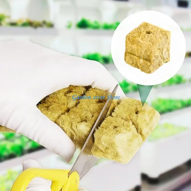 B0KB الصخور الصوف مكعبات البذور بذرة النمو مكعبات لمكعبات صخور صخرية الزراعة مكعبات استنساخ مكعبات الاستنساخ الزراعة الزراعة #4