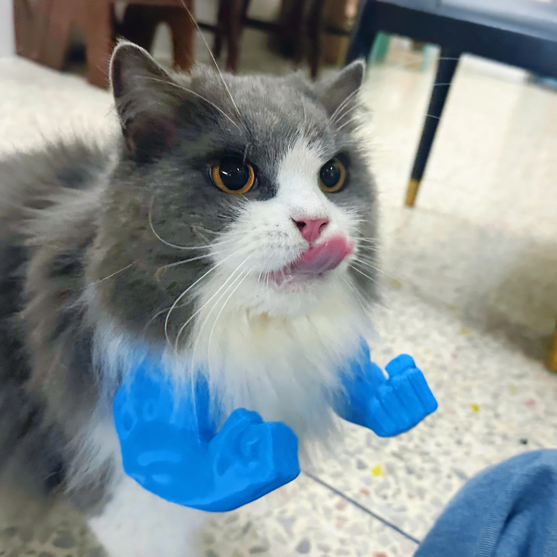 

New Personalized Creative Cat Parody Pet Self Fun Interactive Prop Hanging Neck Arm Pet Toy