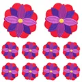 PE11627CT