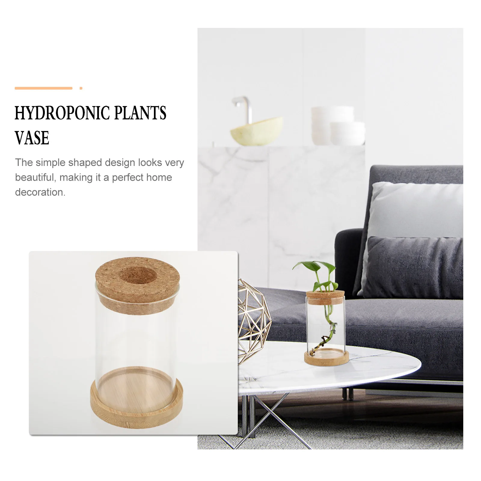 

2Pcs Glass Eco Vase High Quality Wood Material Space Saving Home Decoration Hydroponic Plants Vase Plant Terrarium Desktop