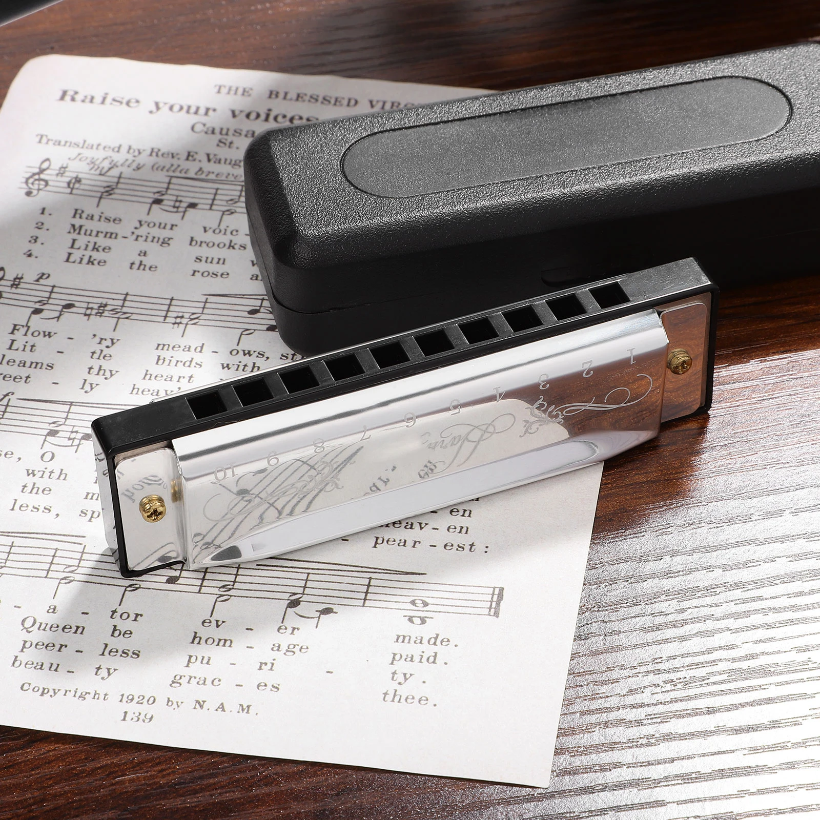 

Ten Hole Harmonica Professional Mouth Harp Silver Mini Musical Kids Instruments Jaw Harmonicas Beginner Scale Child