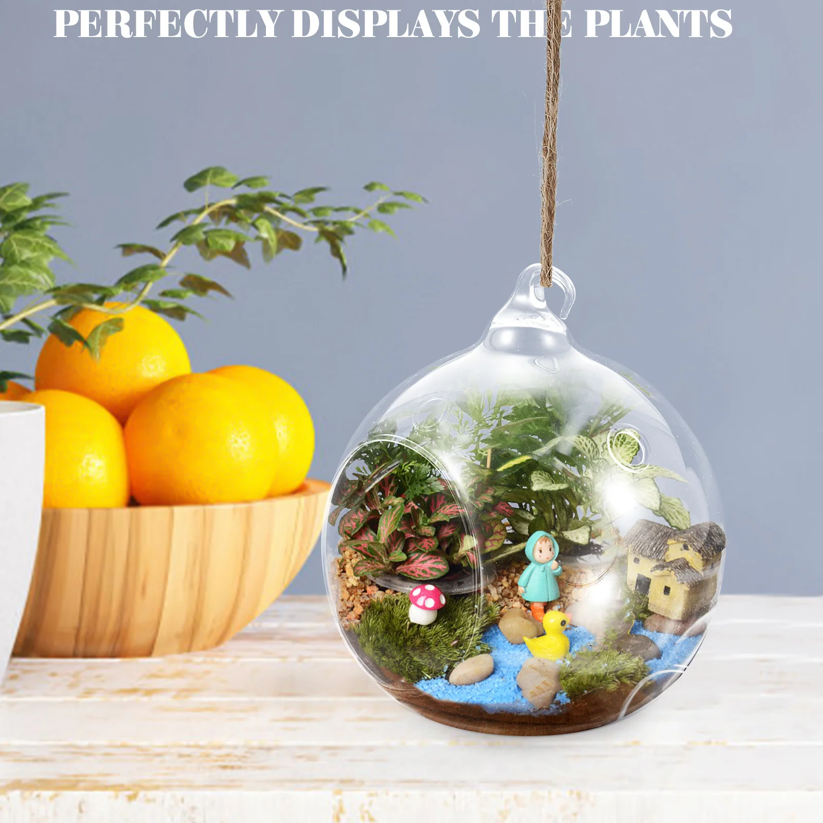 

2 Pcs Air Plant Planter Terrarium Container Hanging Decoration Jars Clear Globe
