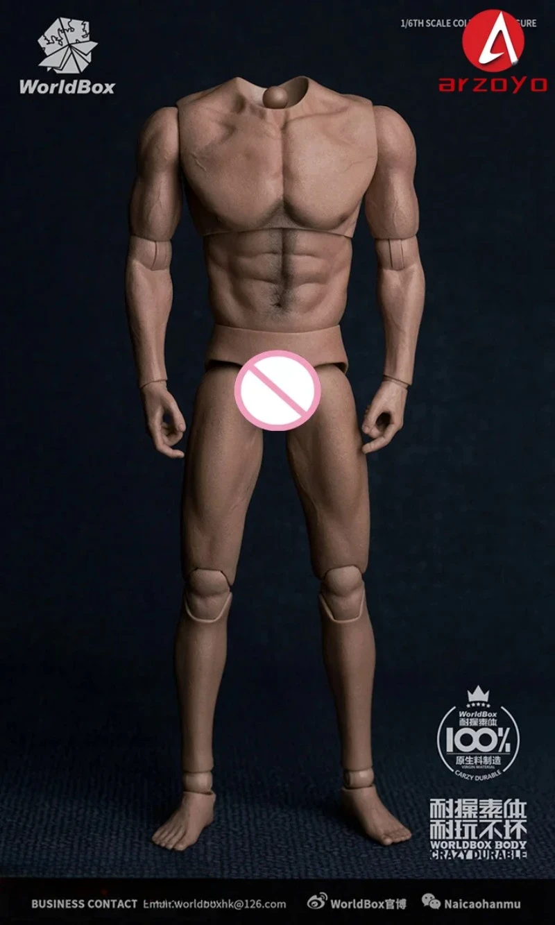 WorldBox AT017 1/6 Wide Shoulders Muscular Male Action Figure without Neck 12