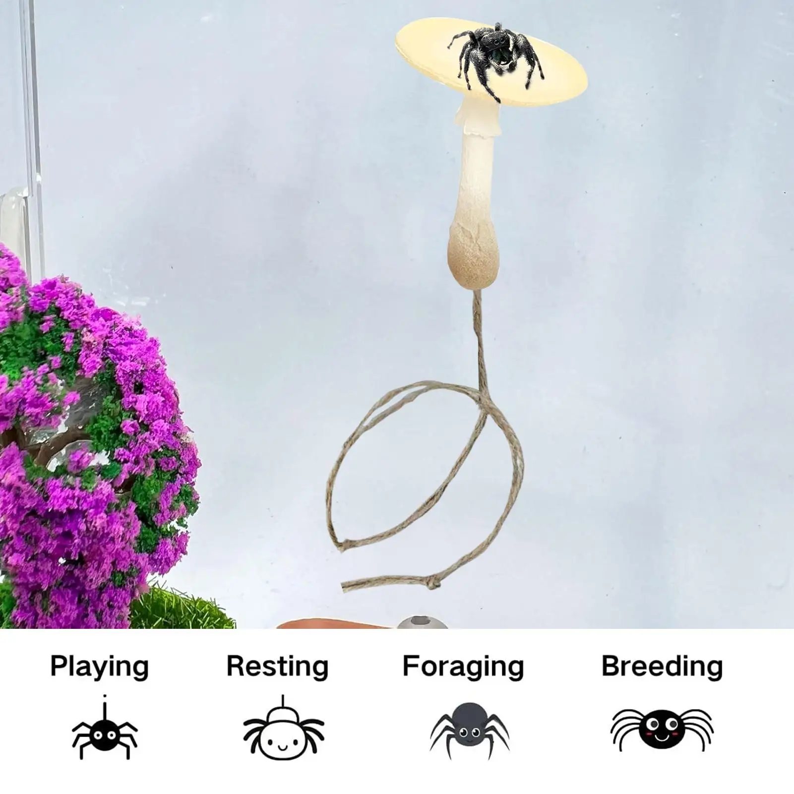 Jumping Spider Enclosure Accessories Magnetic Toy Magnetic Reptile Enclosure Accessories For Reptile Mantis Scorpion Small